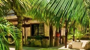 A rectangular pool with clear water, surrounded by palm trees and a stone wall. - La Casa de Mia Tulum (Tulum)