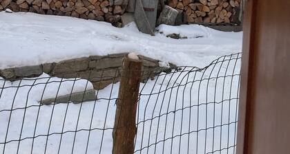 Sweet abode studio apartment sleeps 6 150mt from the ski lifts borgata