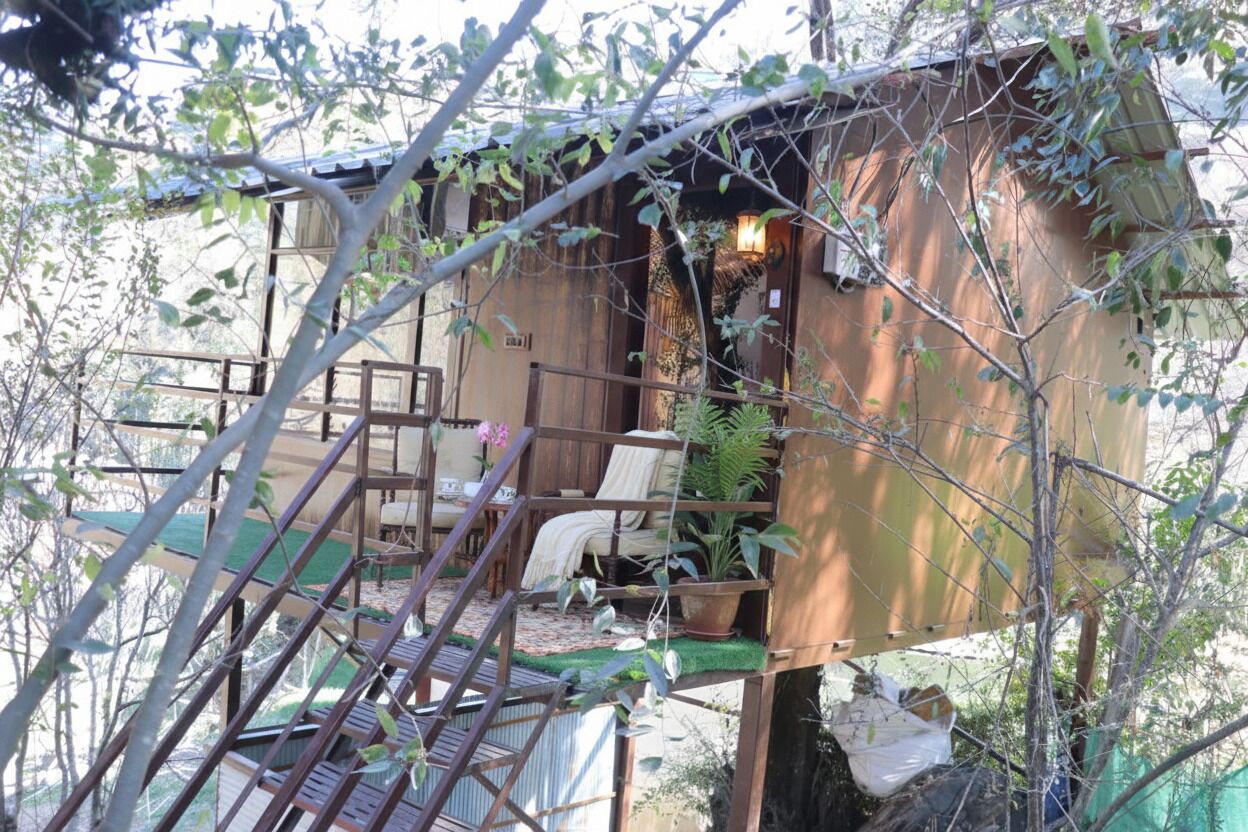 A wooden treehouse with a balcony, furnished with a chair, a small table, and potted plants.