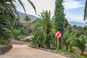 A paved pathway surrounded by lush greenery and a sign with text.