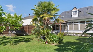 A residential backyard with a lawn, a palm tree, and a house with a covered patio.