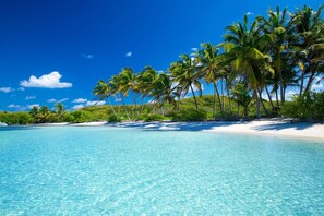 A beach with clear turquoise water, white sand, and palm trees. - Villa Ti Gîte 3*** Bougainvillier (Le Marin)