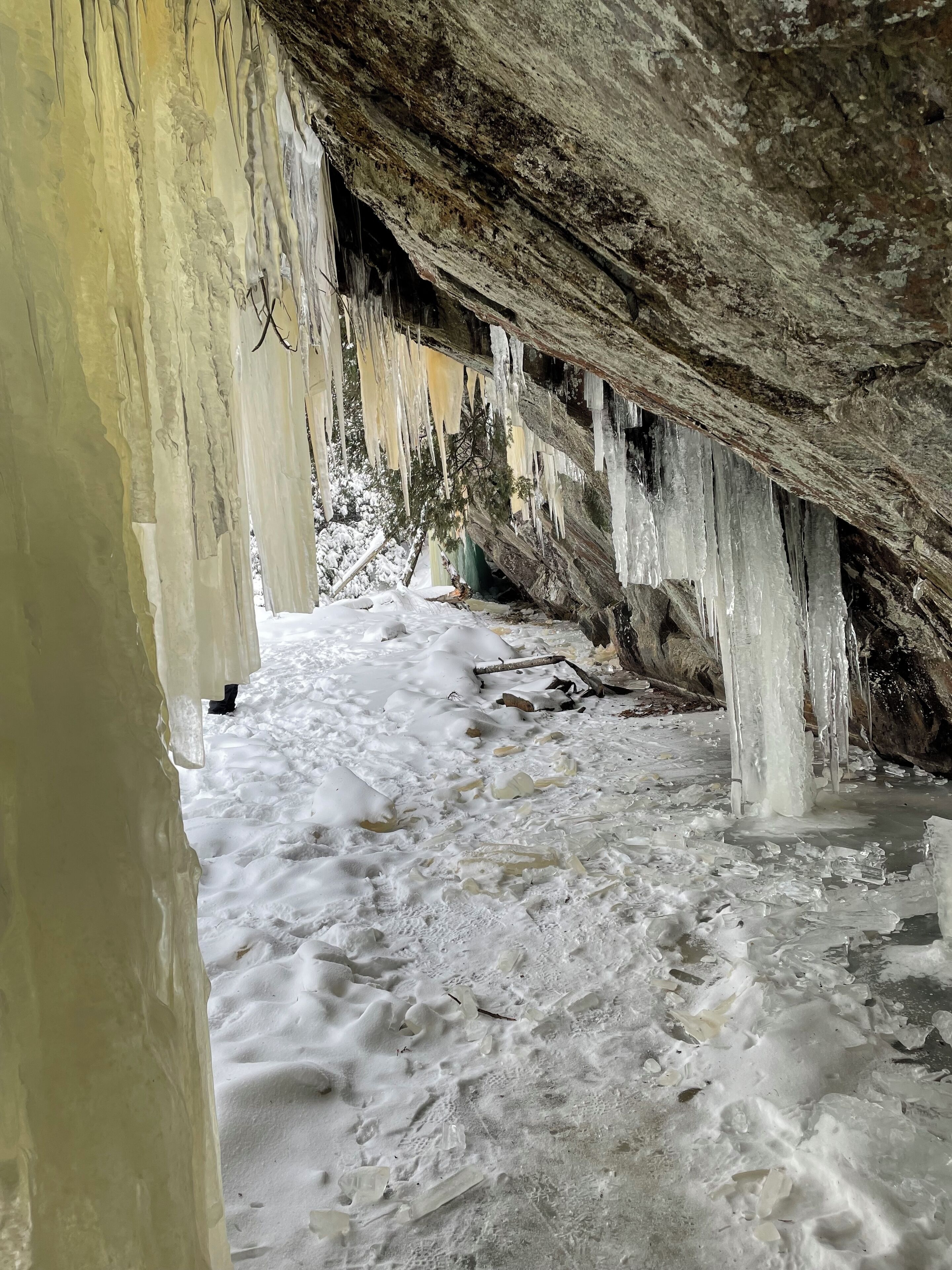 Àrea exterior de l'allotjament