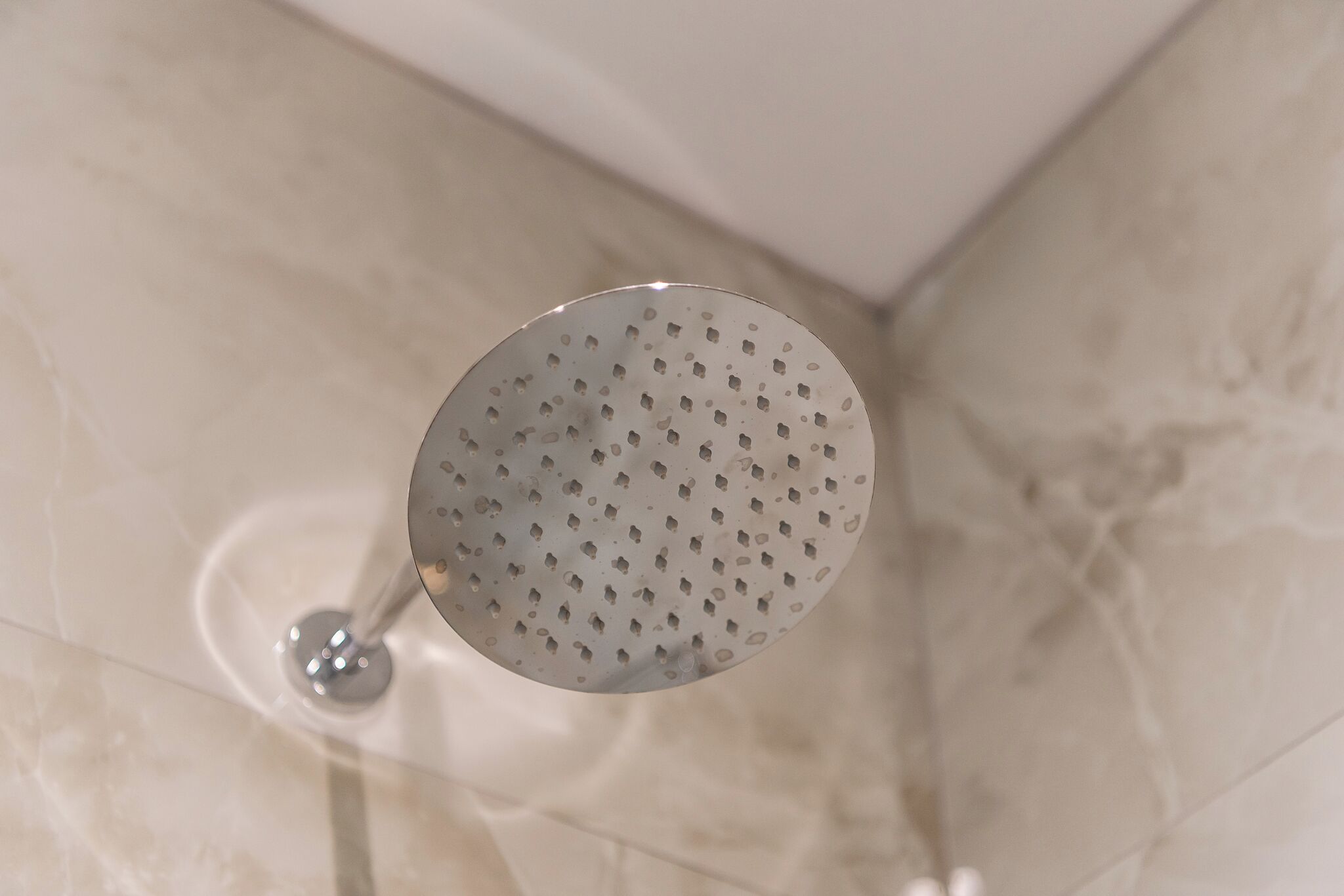 A showerhead with a circular, perforated design.