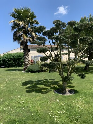 Área da propriedade