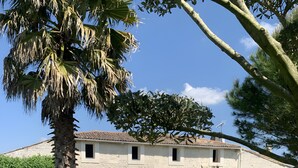 A building with a stone facade, a small front porch, and a well-maintained garden with various plants and a palm tree.