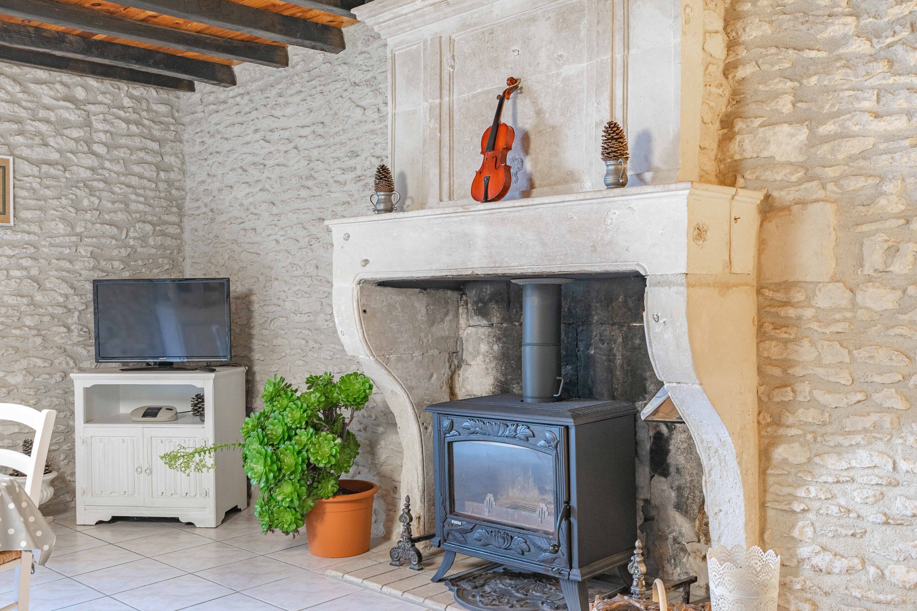 A stone-walled room with a fireplace, a television on a cabinet, and a potted plant.