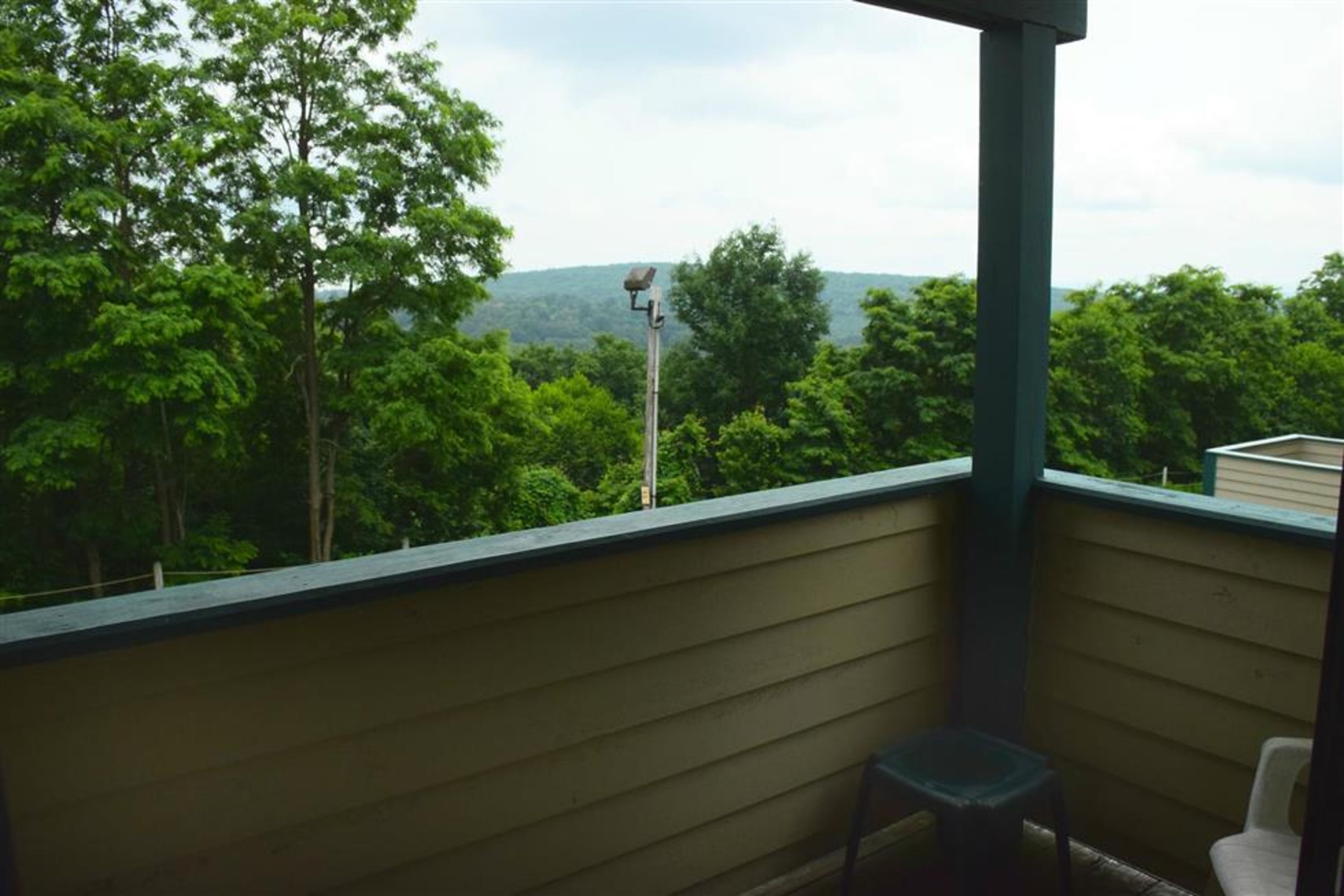 A balcony with a view of dense green trees and a distant hill.