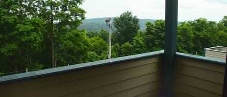 A balcony with a view of dense green trees and a distant hill.