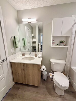 Hair dryer, bidet, towels, soap