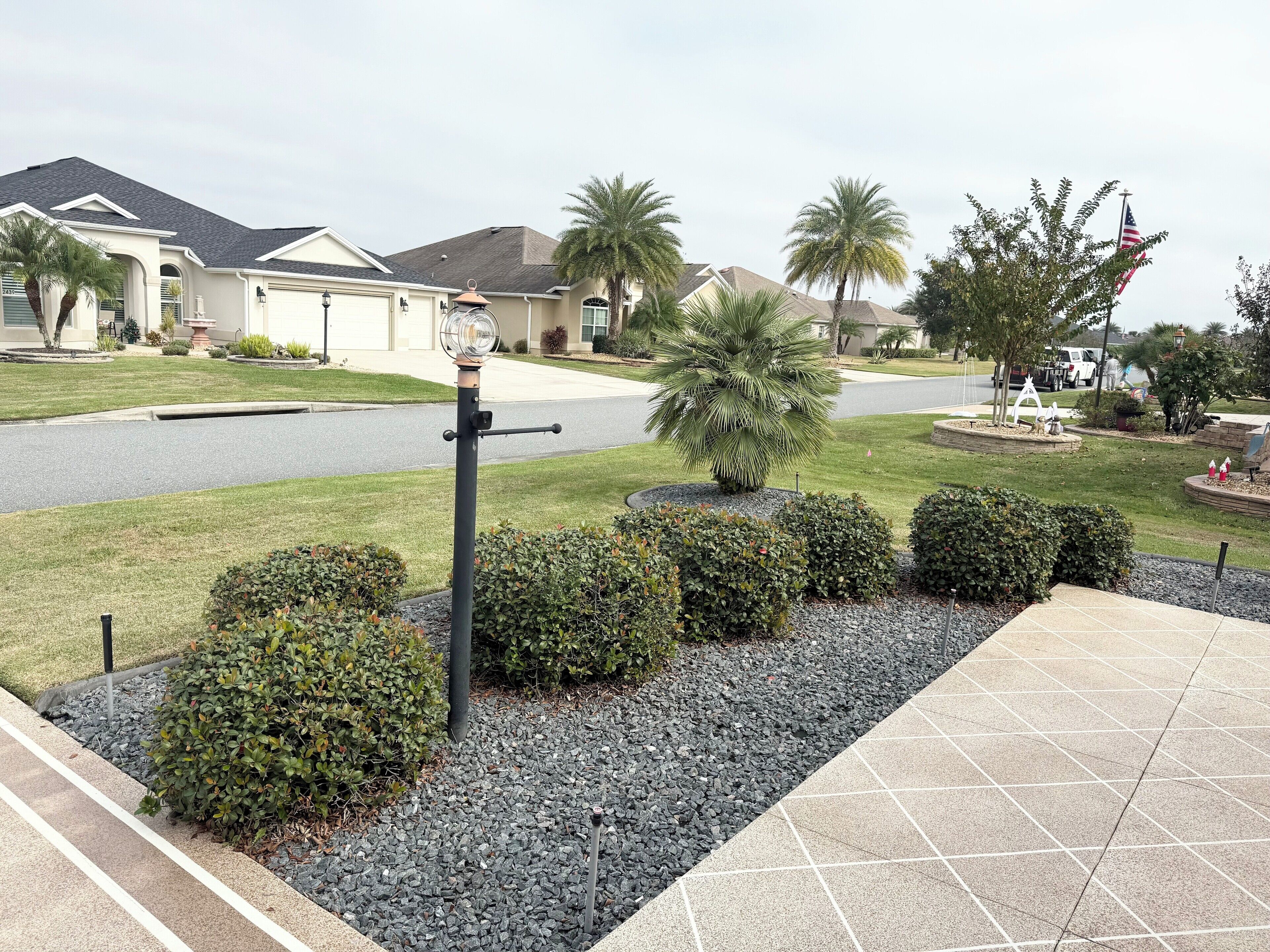 A residential street with houses, a palm tree, and a flag.