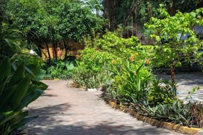 A paved pathway in a garden with various plants and trees. - Trang An Ecorest Resort & Spa (Hoa Lu District)