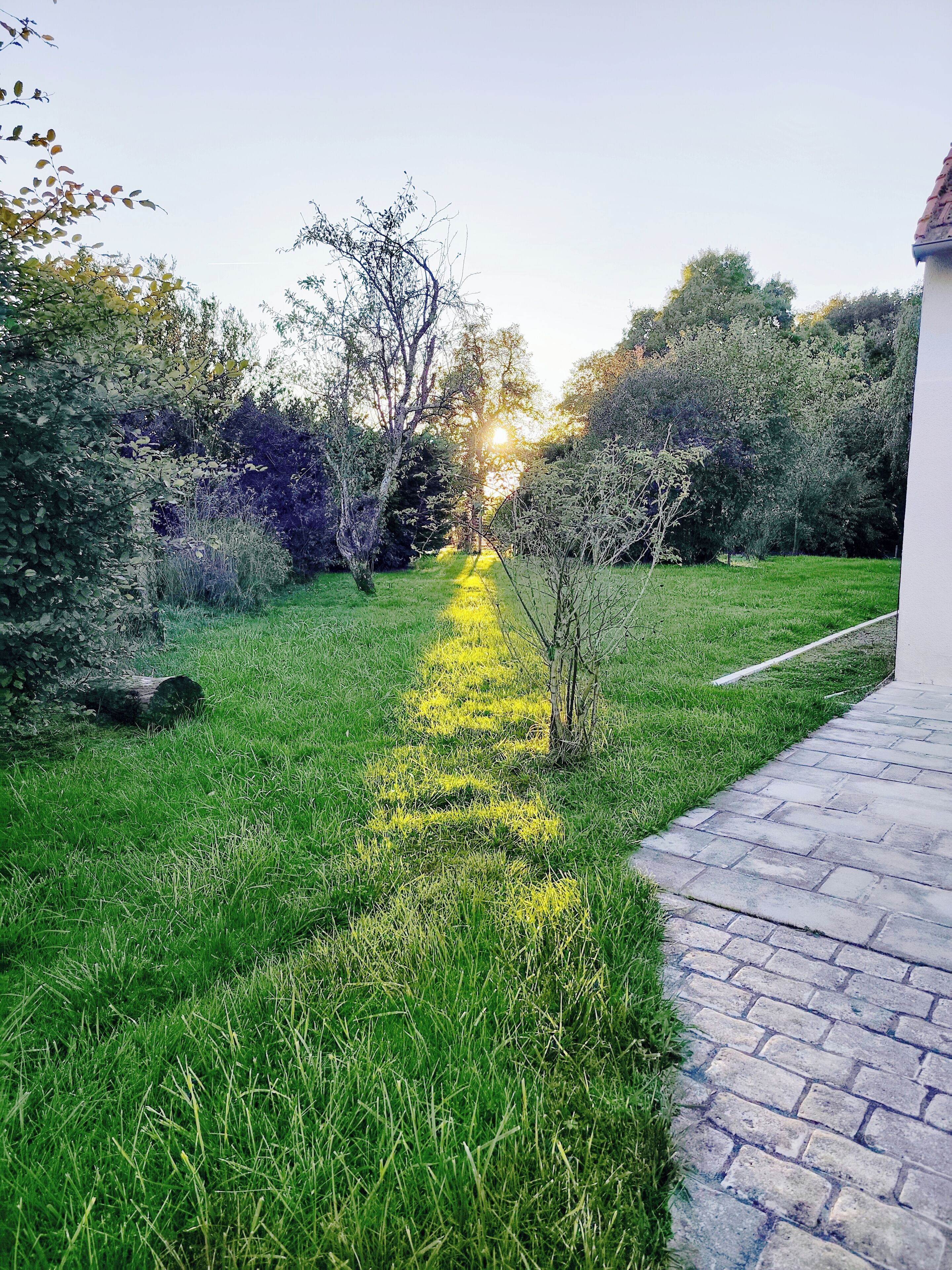 Área da propriedade