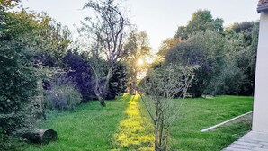 Un sendero que atraviesa un jardín con un borde de ladrillo a un lado.