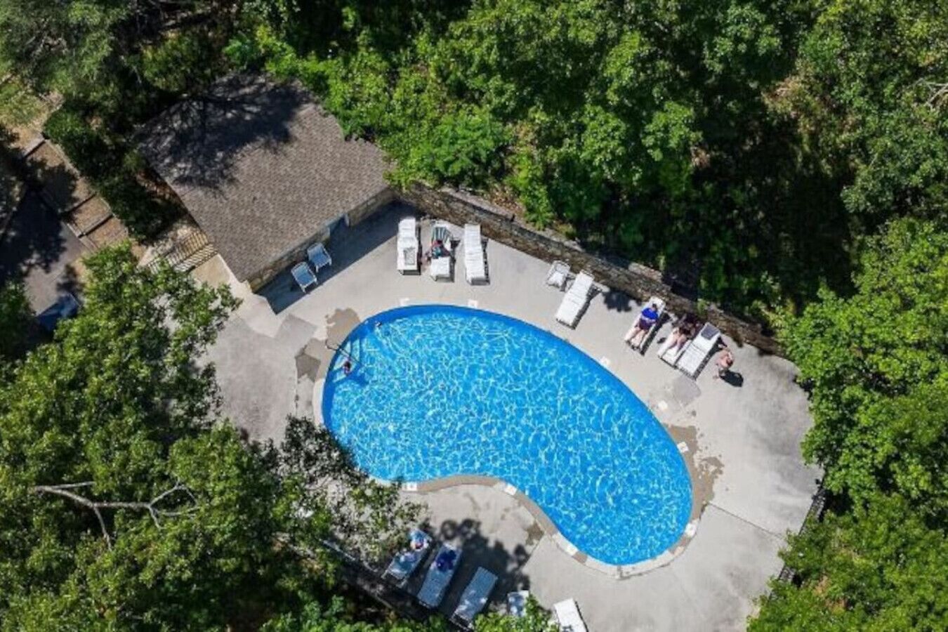 An aerial view of a swimming pool surrounded by lounge chairs and a small deck area, with dense trees in the background.