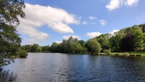 Un lago sereno rodeado de exuberante vegetación y árboles.