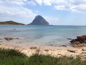 Playa