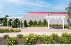 Terras