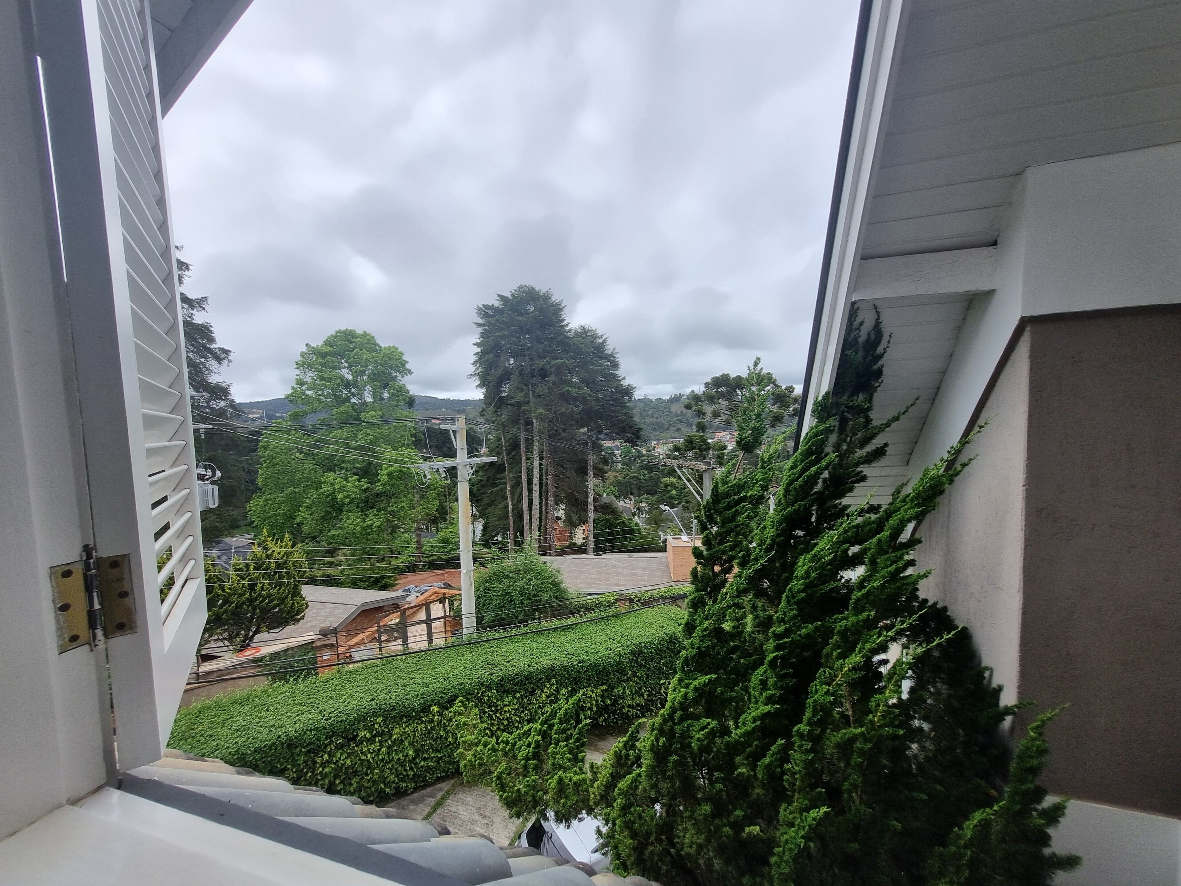 A view from a window overlooking a well-maintained garden with a variety of trees and shrubs.
