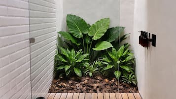 Secadora de cabello, toallas, jabón, shampoo