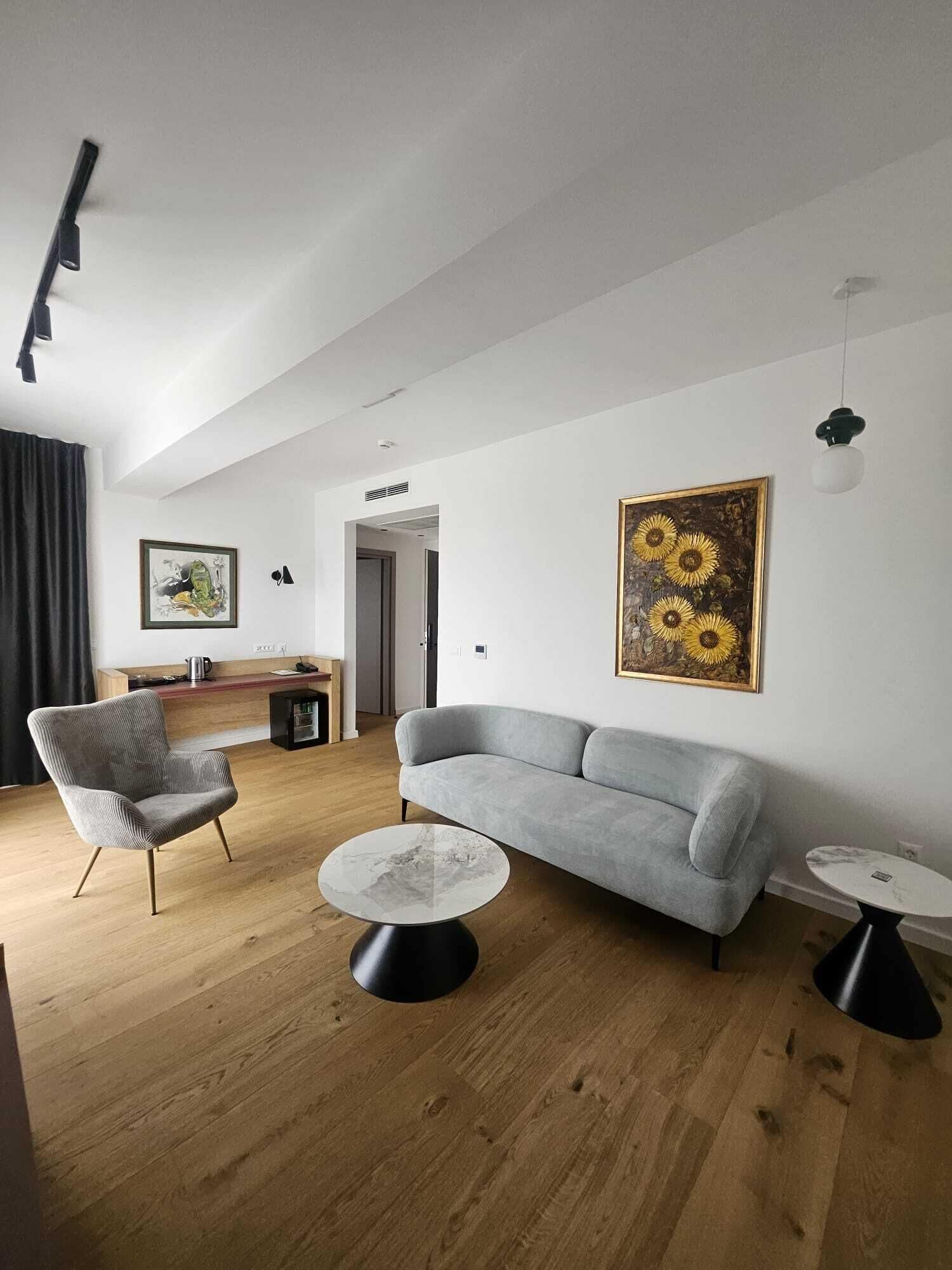 Superior Apartment, Non Smoking, Hill View | Living area | 55-inch plasma TV with digital channels, printers