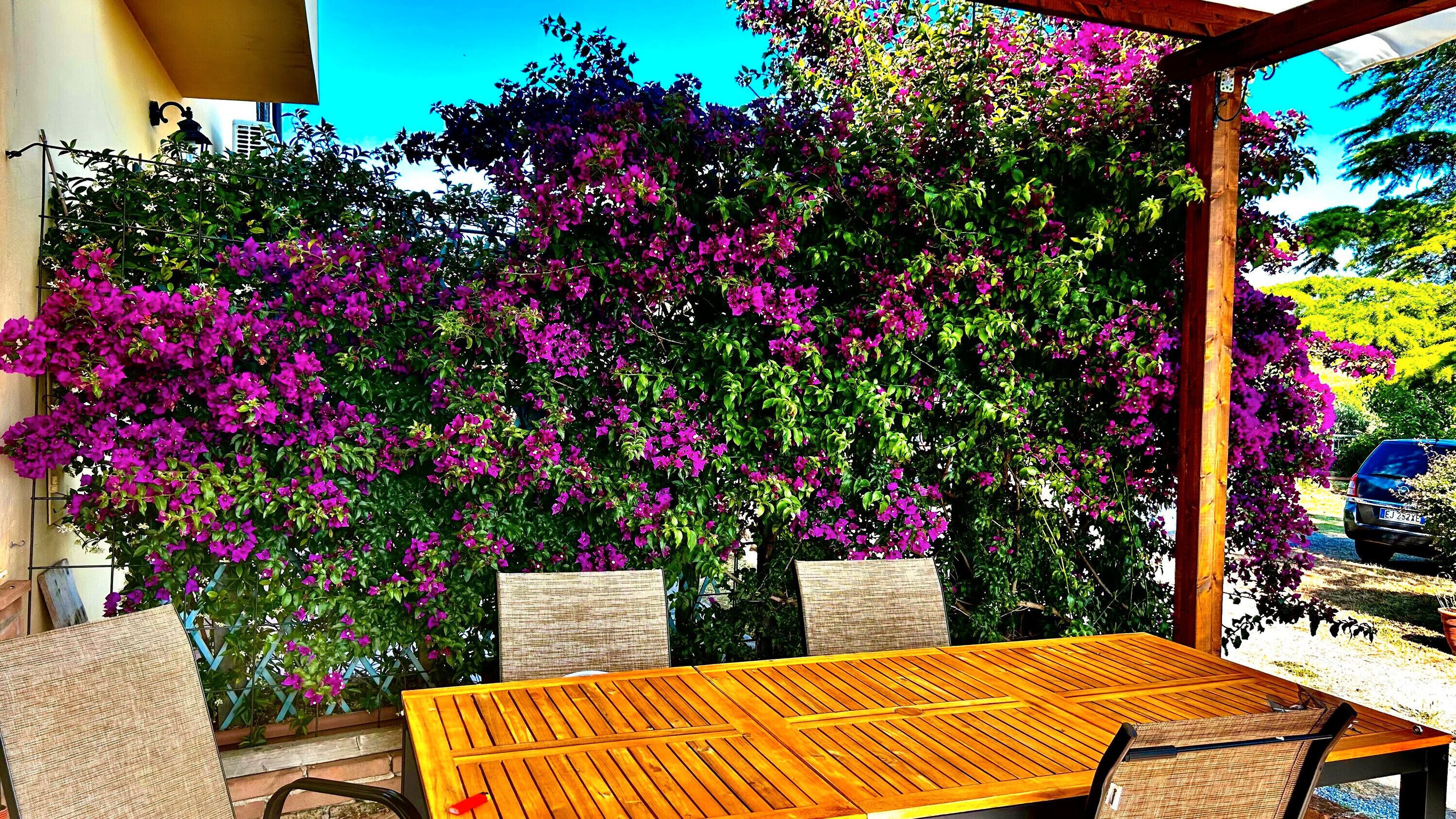 Ristorazione all'aperto