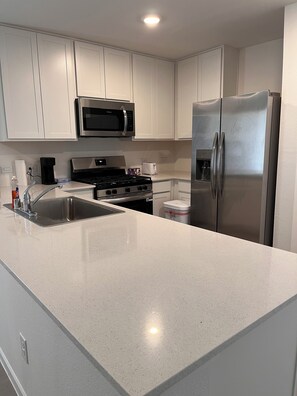 Fridge, microwave, oven, stovetop - New Home in New Community Near Downtown Houston (Houston)