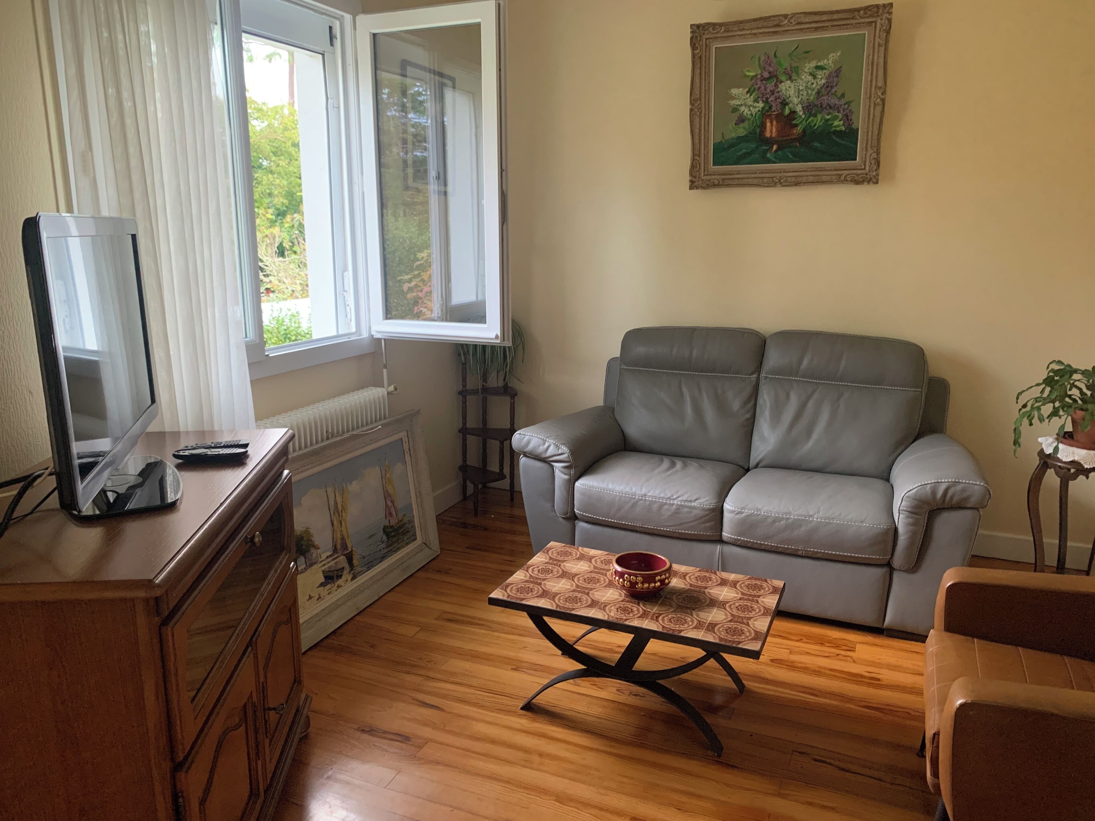 TV, DVD player, books, music library