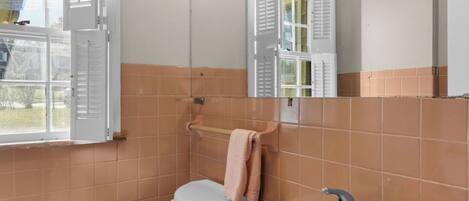 Une salle de bain avec des toilettes, un lavabo et un miroir.