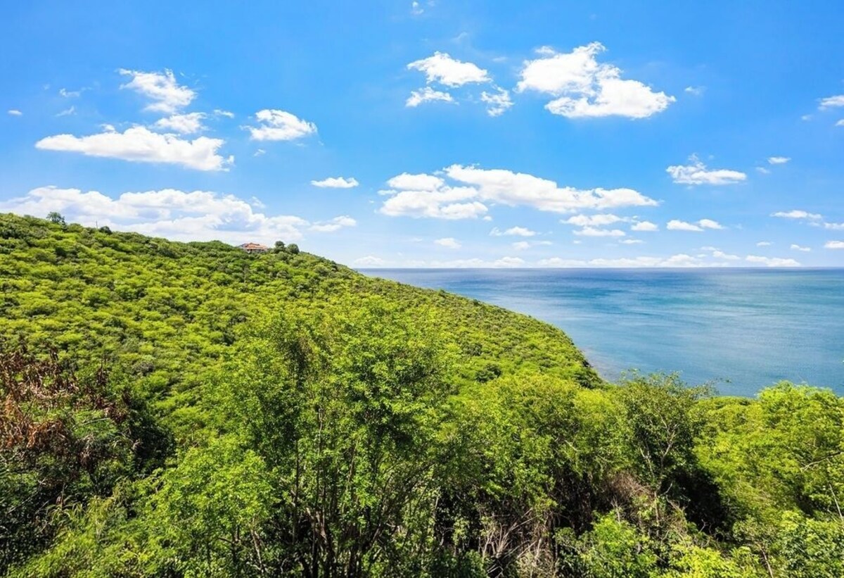 Værtens profilbillede