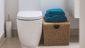Een badkamer met een wit toilet, een rieten mand met opgevouwen handdoeken, een kamerplant en een ingelijst schilderij aan de muur.