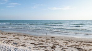 Ein Strand mit Wellen, sandigem Ufer und Seetang.