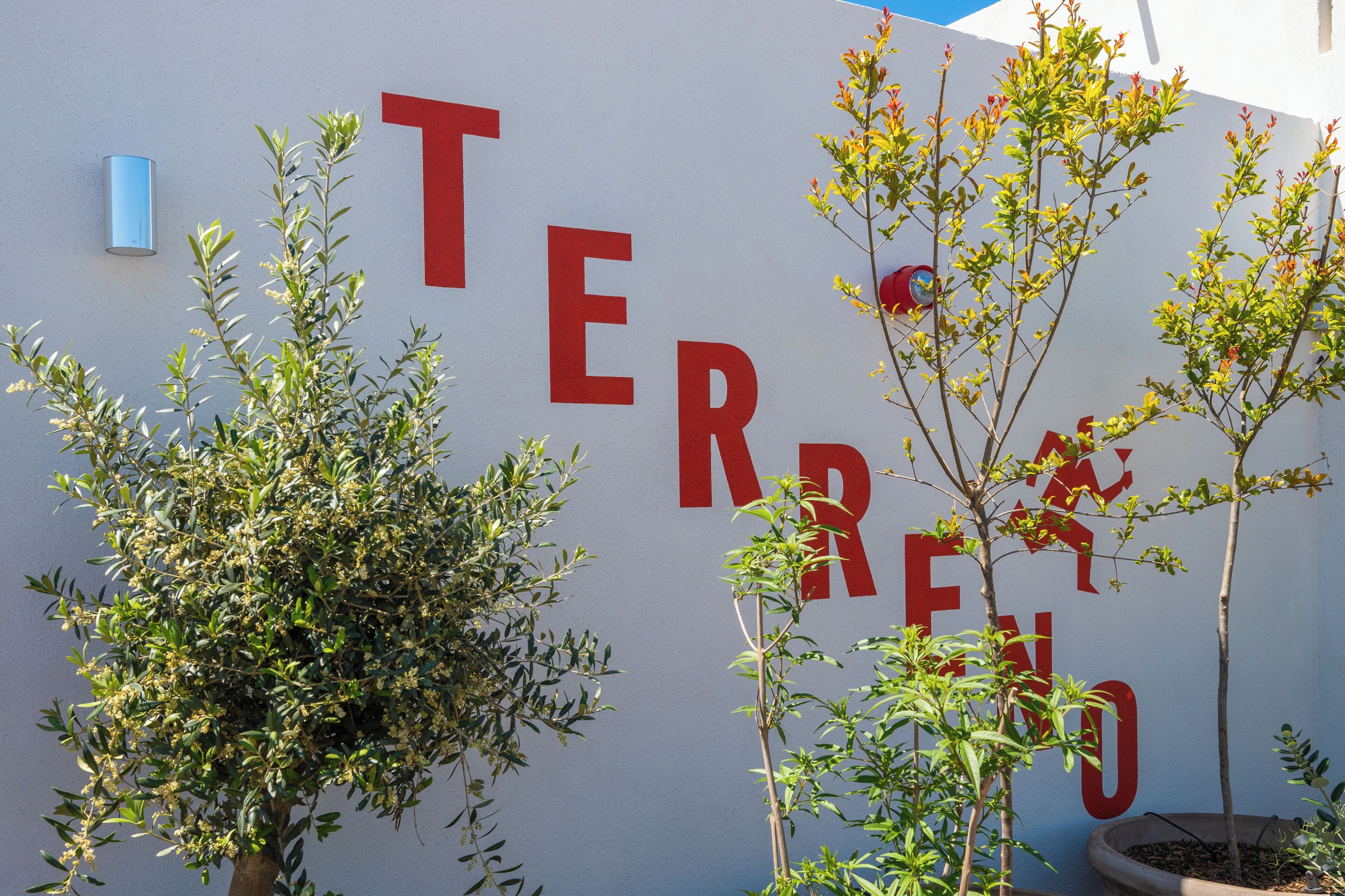Una pared con la palabra 'TERRENO' escrita en letras rojas grandes, rodeada de plantas en macetas.
