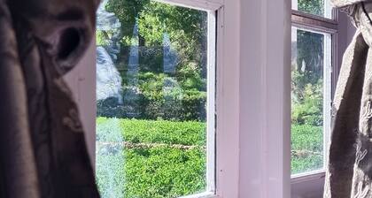 Stargazing homestay nako