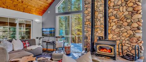 TV, fireplace, books