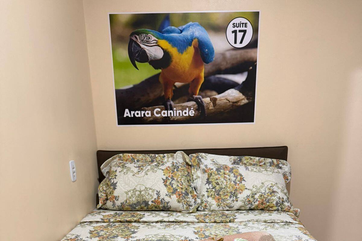Een slaapkamer met een bloemenbedovertrek, een pluche knuffel en een poster van een papegaai.