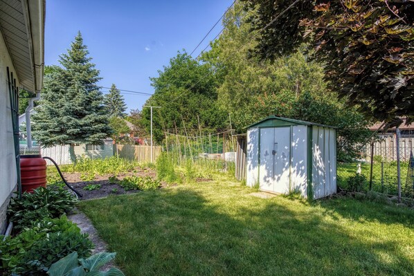 A backyard with a green shed, a tree, and a well-maintained lawn.