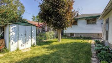 A residential backyard with a green shed, a tree, and a house with a white exterior and green roof.