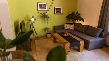 Fernseher, DVD-Player