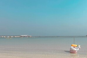 Une scène de plage avec un cygne gonflable et une jetée en arrière-plan.