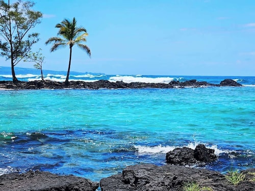 Oceanfront, Friendly Sea Turtles, Epic Snorkeling!