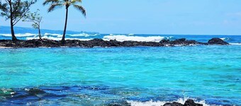 Oceanfront, Friendly Sea Turtles, Epic Snorkeling!