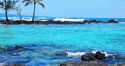 Oceanfront, Friendly Sea Turtles, Epic Snorkeling!