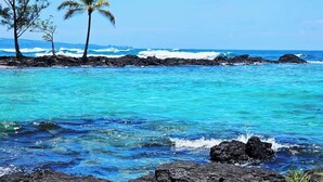 A coastal scene with clear turquoise waters, rocky shoreline, and palm trees. - Oceanfront, Friendly Sea Turtles, Epic Snorkeling! (Hilo)