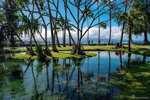 Un paesaggio tranquillo con un lago, palme e vista libera sull'oceano.