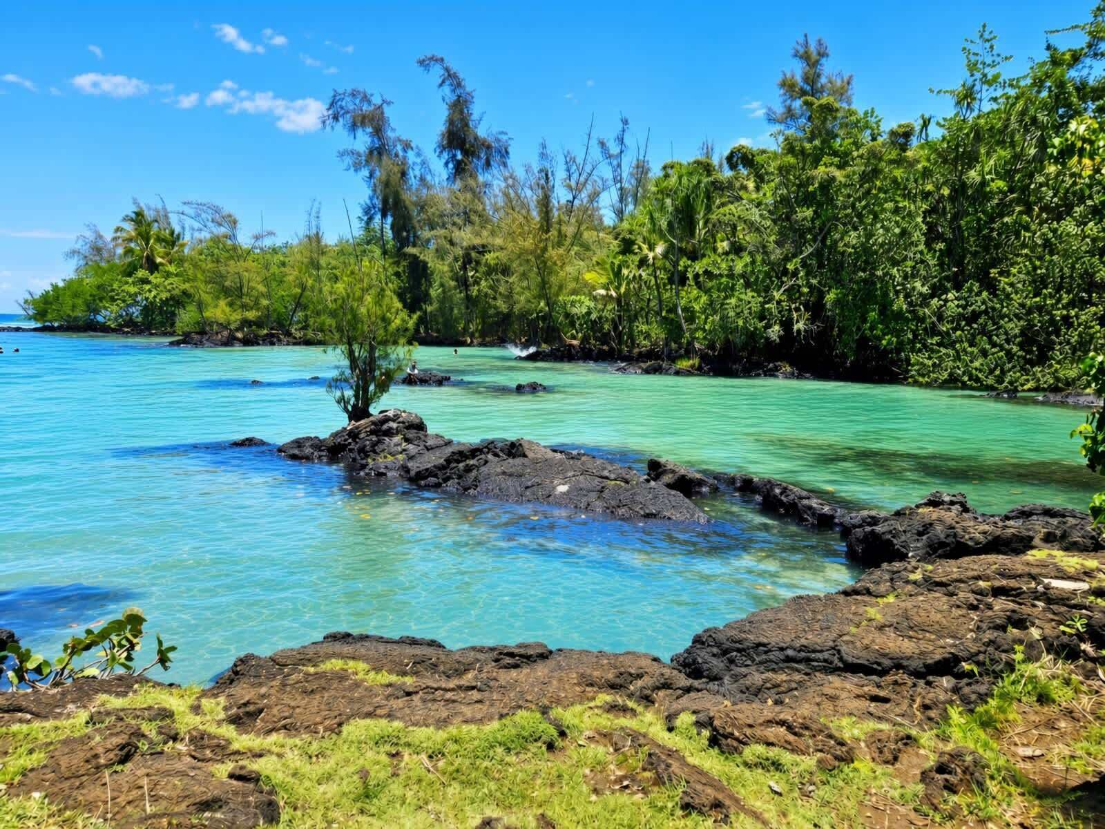 A coastal landscape with clear turquoise water, rocky outcrops, and dense tropical vegetation.