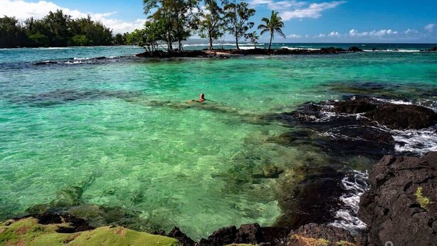 A clear view of a beach with turquoise water, a person swimming, and a rocky shoreline with trees. - Oceanfront, Friendly Sea Turtles, Epic Snorkeling! (Hilo)