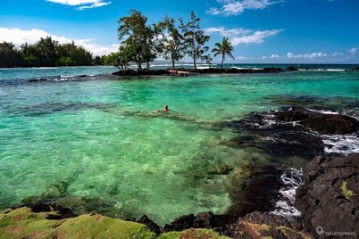 Oceanfront, Friendly Sea Turtles, Epic Snorkeling!