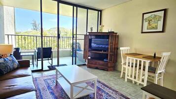 Fernseher, Arbeitsbereiche