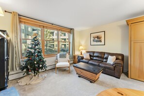 Smart TV, fireplace, books